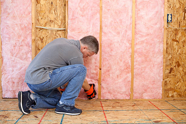 Best Energy Efficiency Insulation in Lliams Bay, WI